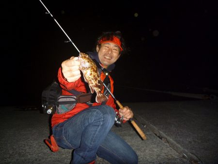 日没後に活性急上昇♪